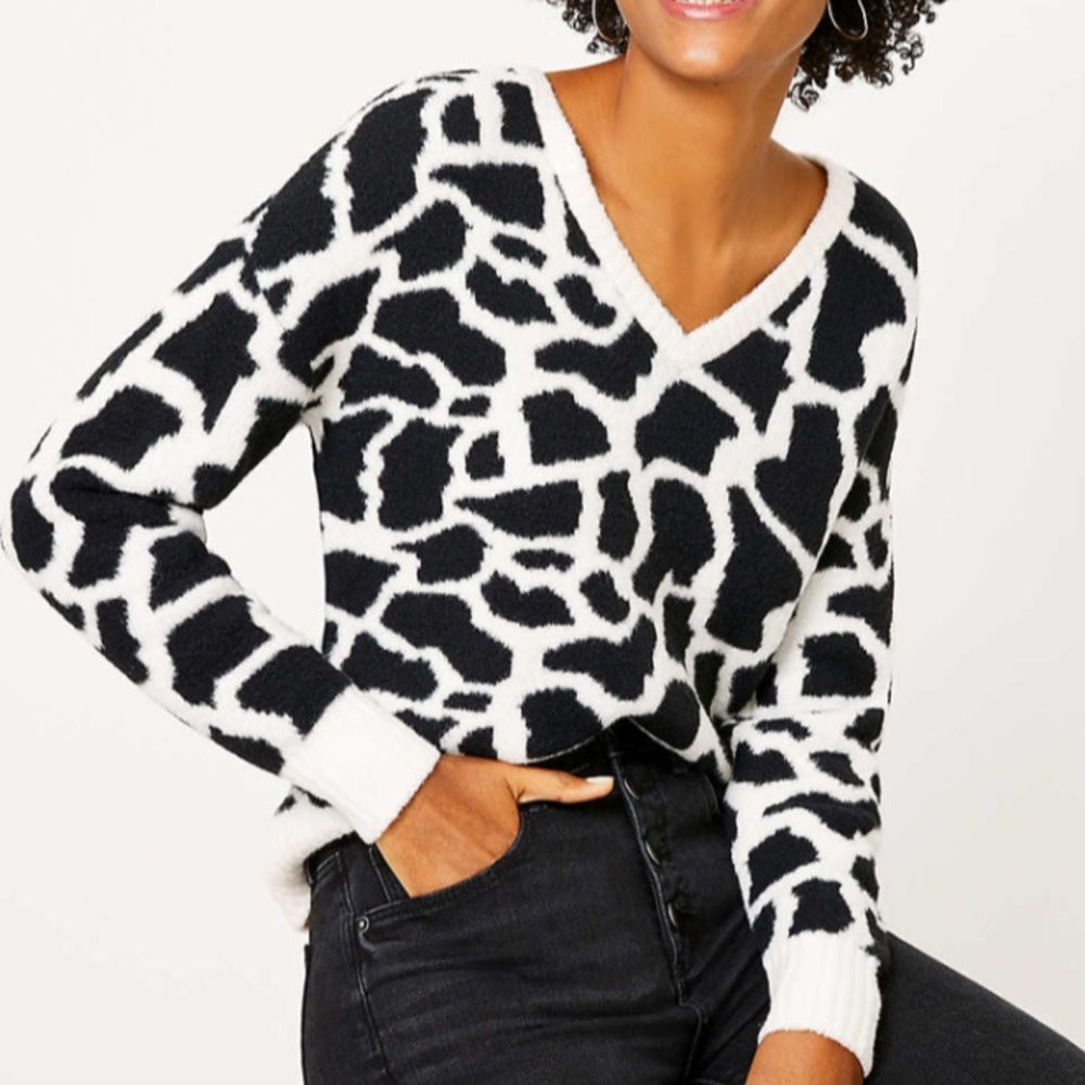 LOFT Animal print V-neck sweater